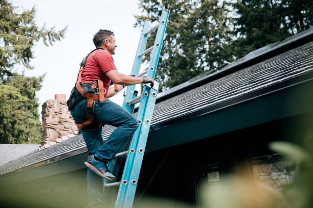 Professional Roofing Services in Velva, ND